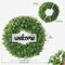 22Inch Spring Wreaths for Front Door, Boxwood Wreaths for Front Door,Front Door Wreath,Spring Door Wreath,Green Wreath for Spring Farmhouse Porch Wall Wedding Room Home Decor (22Inch)
